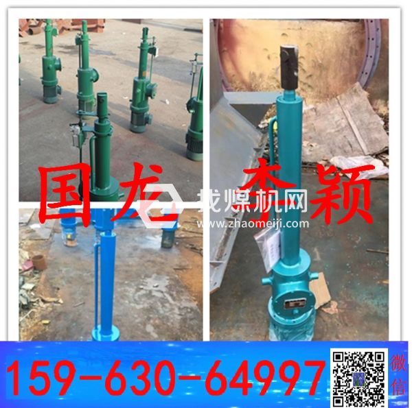 國龍-電液動推桿DYTZ2000-1400； DYTZ500-300相看兩不厭